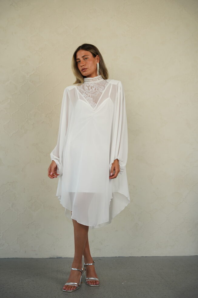 Untitled Catalog7281