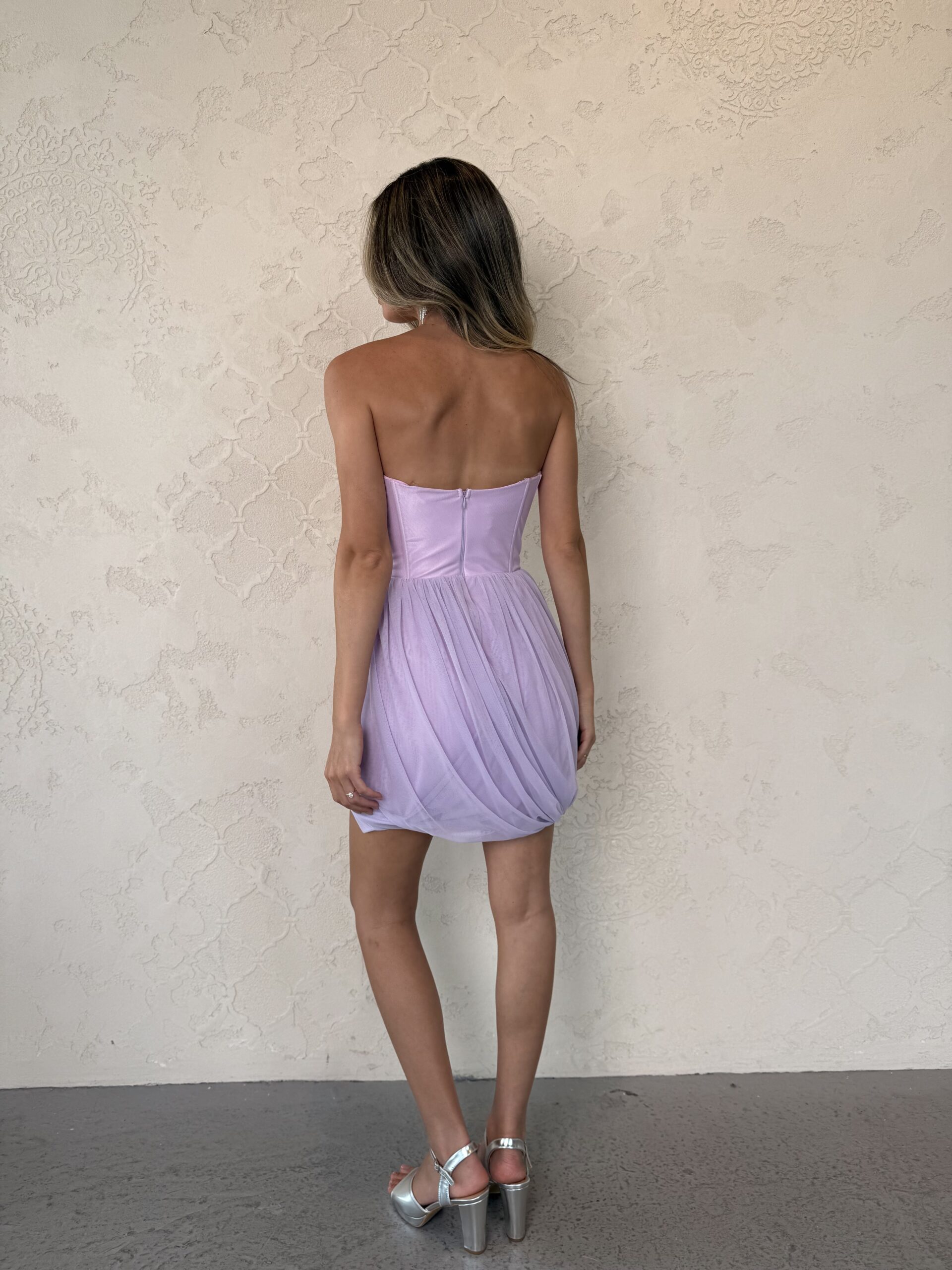 Img 1532